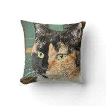 ルビー六歳のトッティとホワイト