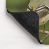 ルビー冠の男性キングレット、Regulus calendula マウスパッド (コーナー)