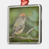 ルビー冠の男性キングレット、Regulus calendula メタルオーナメント (左)