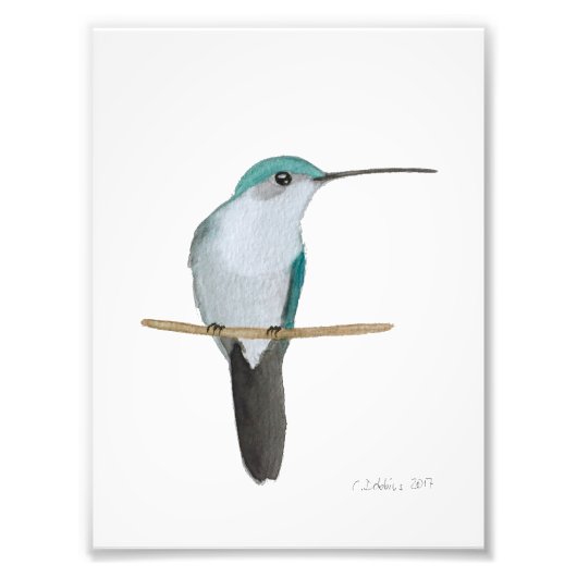 ルビー喉のハミングバードメス フォトプリント            (正面)