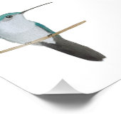 ルビー喉のハミングバードメス フォトプリント            (角)