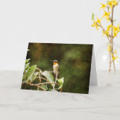 ルビー喉のハミングバード カード (黄色い花)