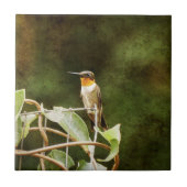 ルビー喉のハミングバード タイル (正面)