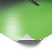 ルビー喉のハミングバード フォトプリント            (角)