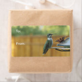 ルビー喉のハミングバード ラベル (インサイチュ)