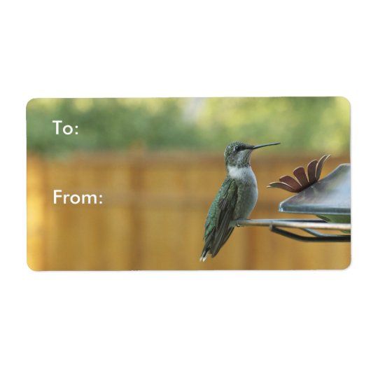 ルビー喉のハミングバード ラベル (正面)