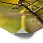 ルビー帽 ポスター (角)