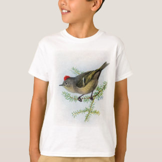 ルビー戴冠させたキクイタダキ科 Tシャツ