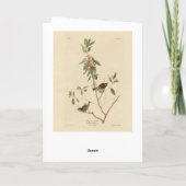 ルビー王冠ウォレン（キングレット）オードボンバーズアメリカ カード (裏面)