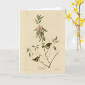 ルビー王冠ウォレン（キングレット）オードボンバーズアメリカ カード (黄色い花)