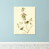 ルビー王冠ウォレン（キングレット）オードボンバーズアメリカ キャンバスプリント (インサイチュ (ウッドフロア))