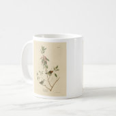 ルビー王冠ウォレン(キングレット)オードボンバーズアメリカ コーヒーマグカップ (正面左)