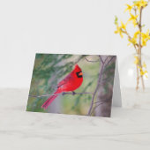 ルビー色のカーディナル・ポートレート カード (黄色い花)