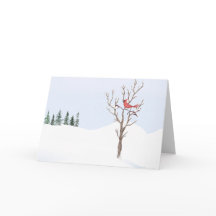 ルビー色のカーディナル 鳥 平和な地球 家族