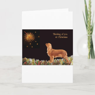 ルビー色のクリスマスの騎士 シーズンカード