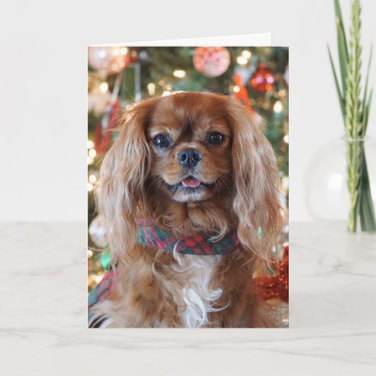 ルビー色のクリスマス シーズンカード (正面)