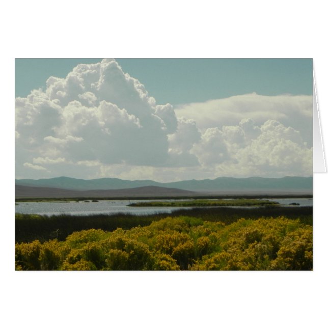 ルビー色の沼地、ウサギブラシ (正面横)