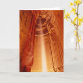 ルビー色の滝 カード (黄色い花)