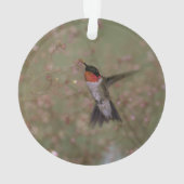 ルビー色のthroatedハチドリ オーナメント (裏面)