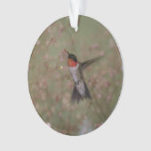 ルビー色のthroatedハチドリ オーナメント (正面)