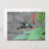 ルビー・スロート・シップス・ポストカード ポストカード (正面/裏面)