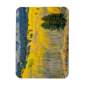 ルビー《植物》アスペンの秋 マグネット (縦)