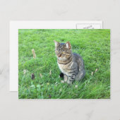 ルビーcotuesdayはがき ポストカード (正面/裏面)