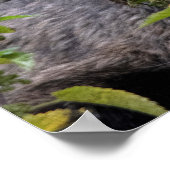 ルピア ポスター (角)