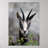 ルピア ポスター (正面)