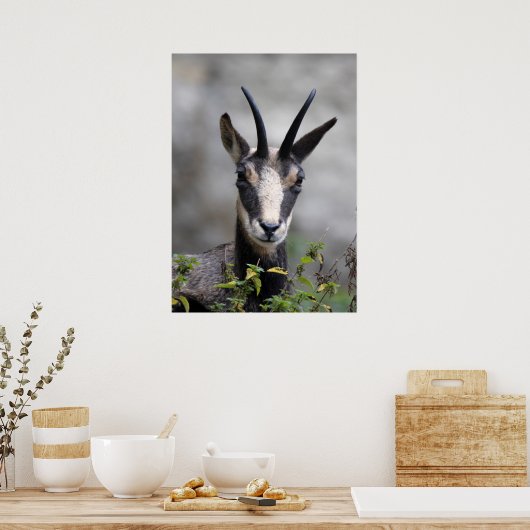 ルピア ポスター (キッチン)