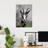 ルピア ポスター (ホームオフィス)