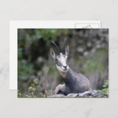 ルピア ポストカード (正面/裏面)