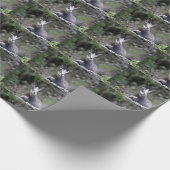 ルピア ラッピングペーパー (角)