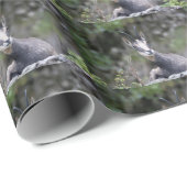 ルピア ラッピングペーパー (ロールコーナー)