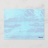 ルピデテキーラサマーコレクション2014 ポストカード (裏面)