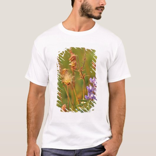 ルピナスとプレーリースモークのモンタナ州の野花 Tシャツ (正面)