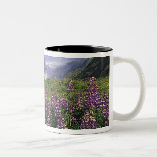 ルピナスの花と荒々しい海岸沿い ツートーンマグカップ (右)
