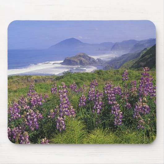 ルピナスの花と荒々しい海岸沿い マウスパッド (正面)