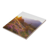 ルピナスの花畑とオリンピック山脈 タイル (側面)