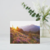 ルピナスの花畑とオリンピック山脈 ポストカード (スタンド正面)