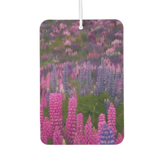 ルピナスの花畑の自然美アートプリント カーエアーフレッシュナー