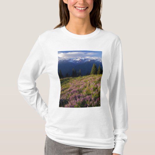 ルピナスの花畑、オリンポス山と雲が Tシャツ (正面)