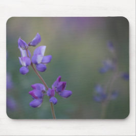 ルピナスの花畑 マウスパッド