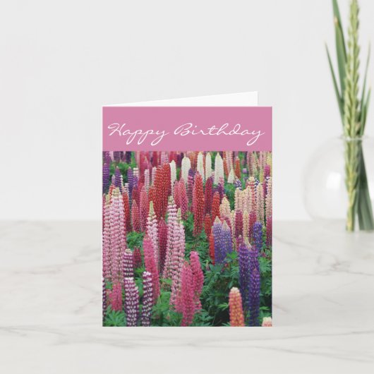 ルピナスの花 D2 ハッピーバースデーカード カード (正面)