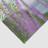 ルピネかわいらしの花バイザレイク 薄葉紙 (詳細)