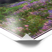 ルピネのキャビンでデジタルでオープンEd Prを開始 フォトプリント (角)