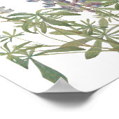 ルピネのヒマワリ ポスター (角)