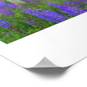 ルピネのマインドスケープのポスターのチャペル ポスター (角)