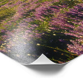 ルピネの野とオリンパスの山と雲 フォトプリント            (角)