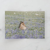 ルピネの野馬グリーティングカードに入った馬 カード (内部)